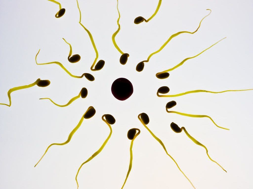 allow your partner to donate sperm
