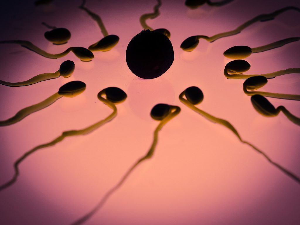 donated sperm