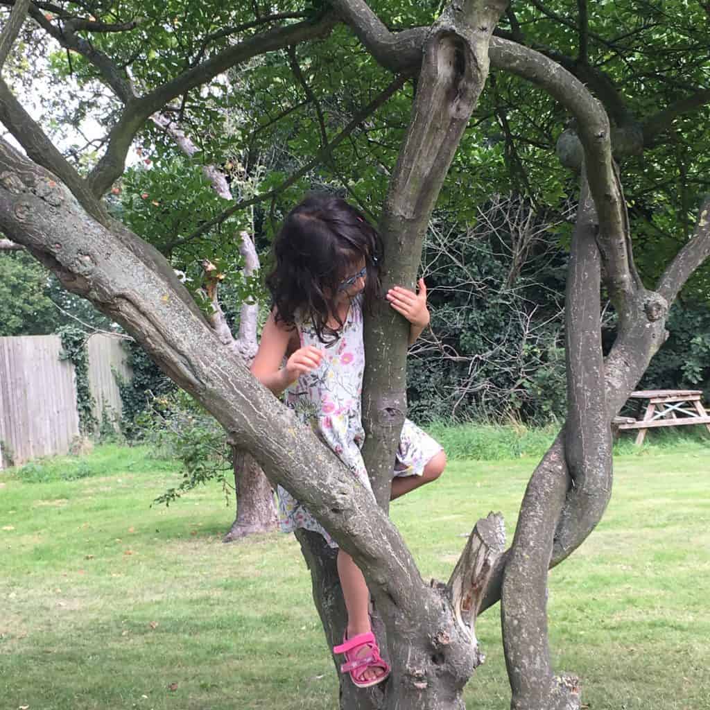 letter to my daughter