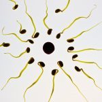 allow your partner to donate sperm