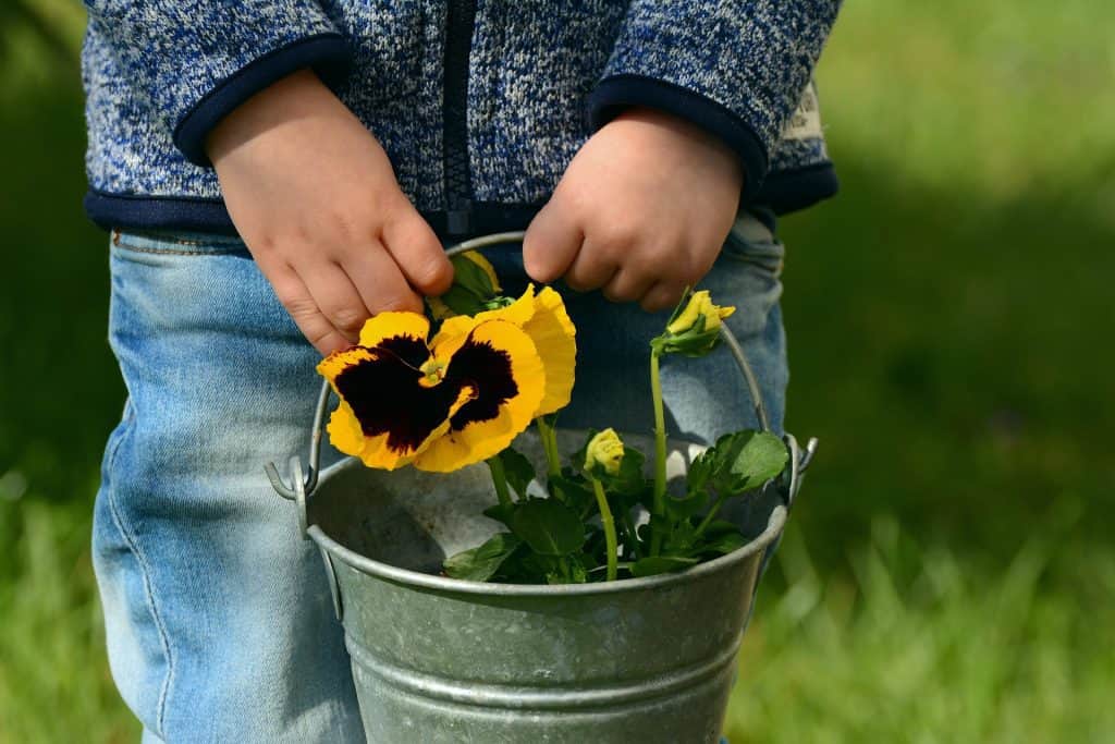 gardening with children