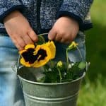 gardening with children