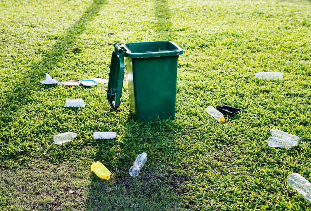 Teaching children about sustainability
