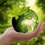 Teaching children about sustainability