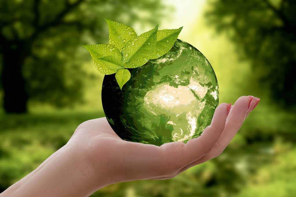 Teaching children about sustainability