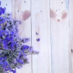 uses of lavender oil