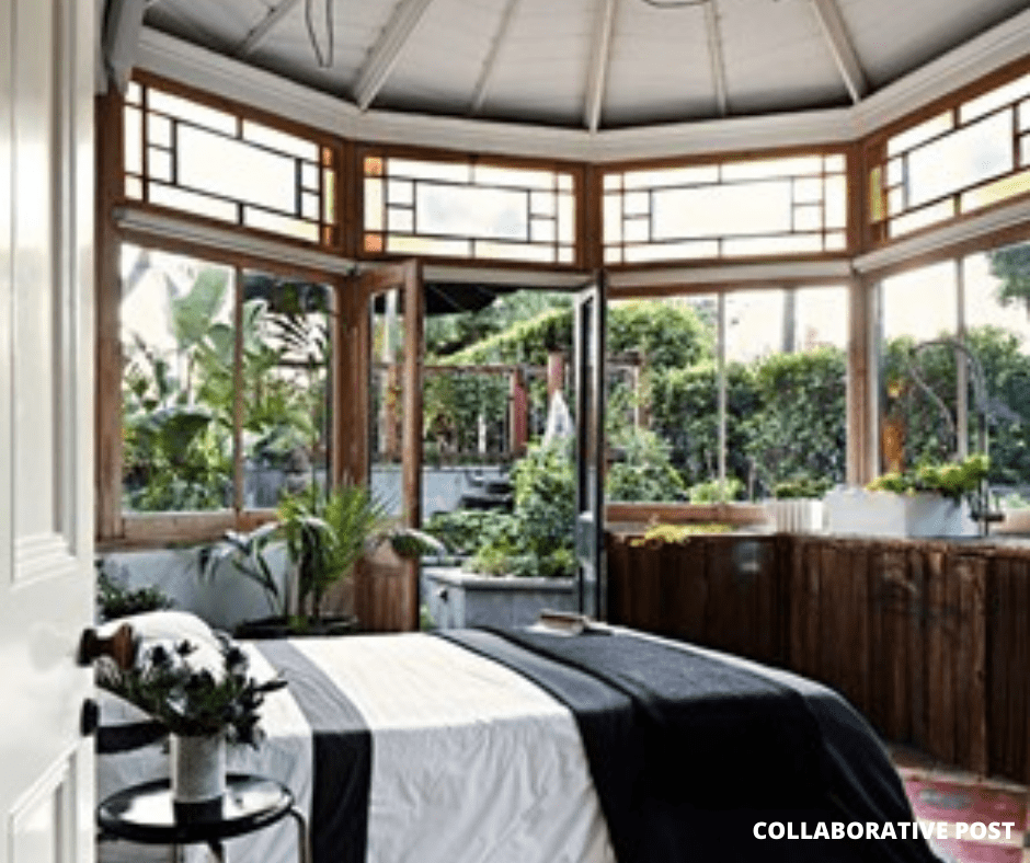 window design trends