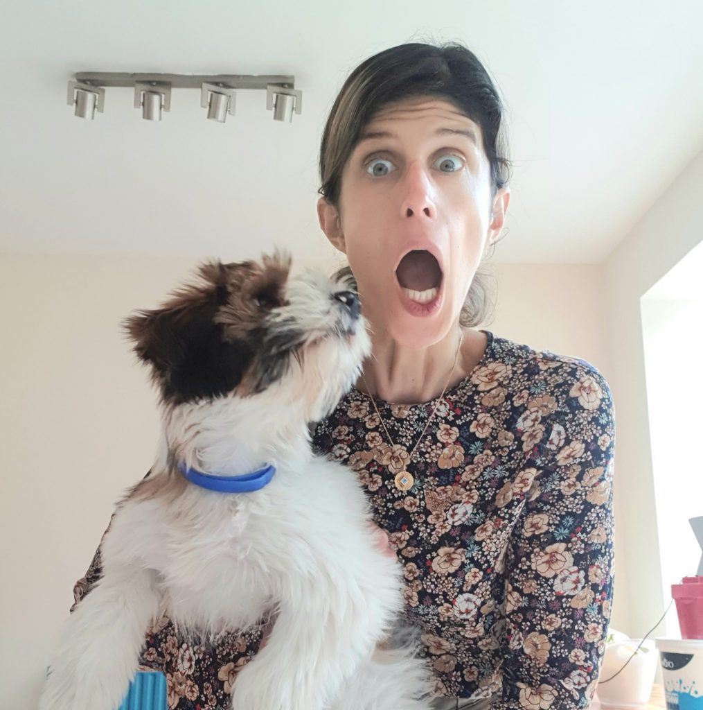 puppies are like toddlers