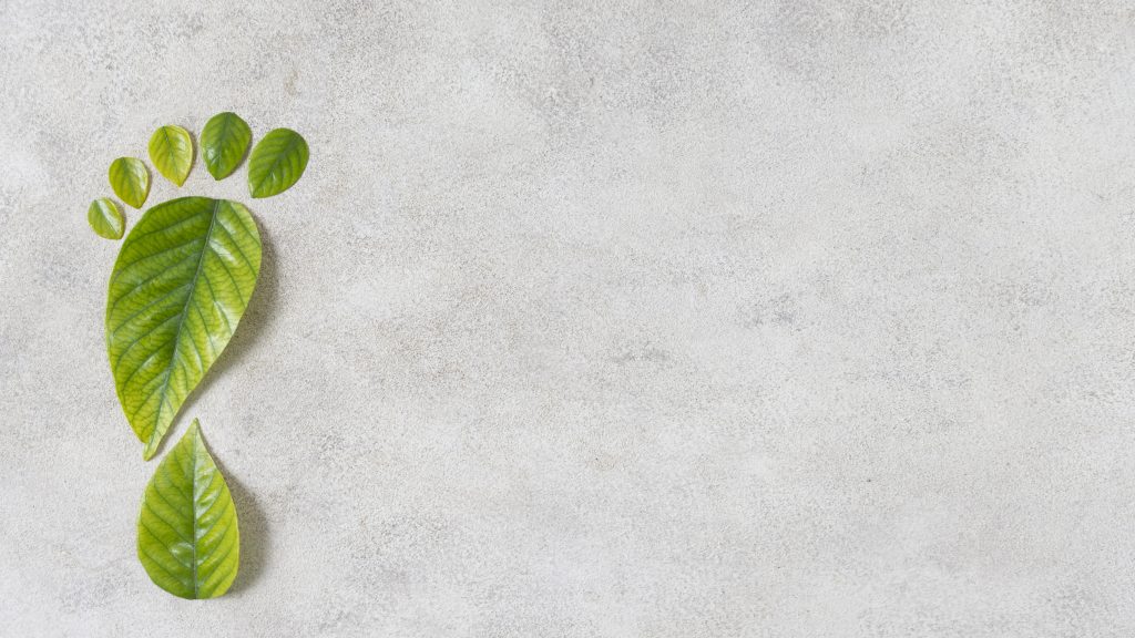 reduce your carbon footprint at home