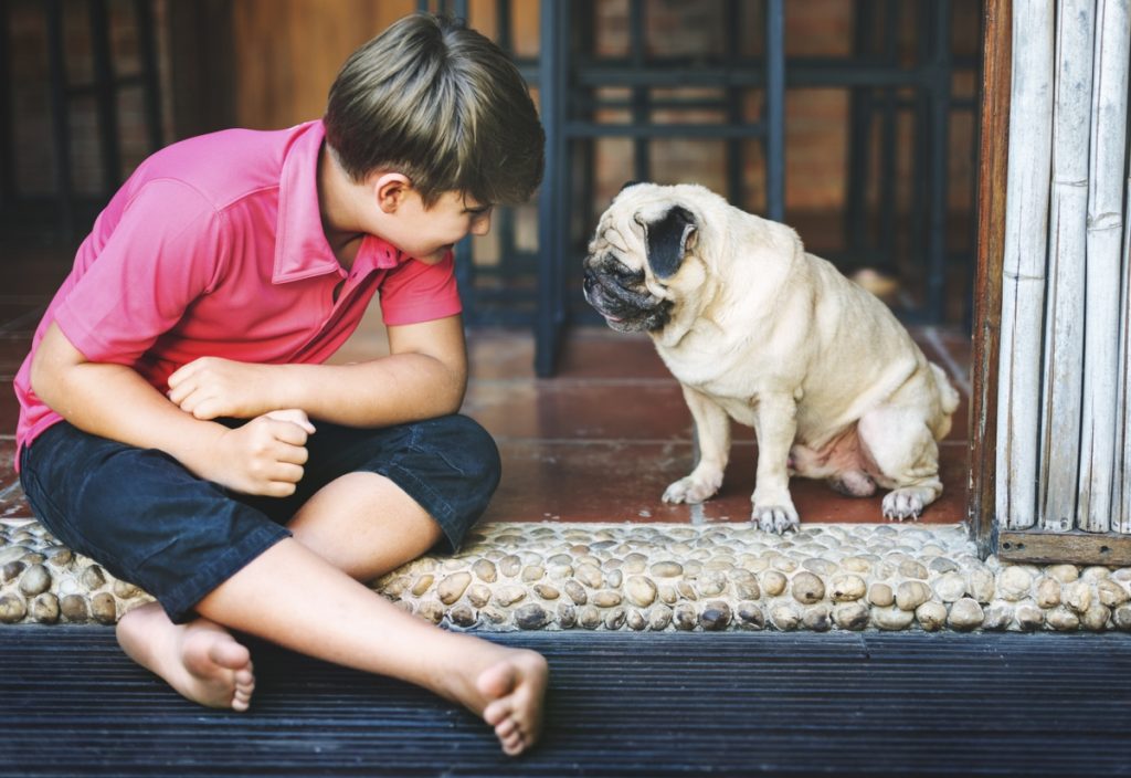 having a pet is good for your family