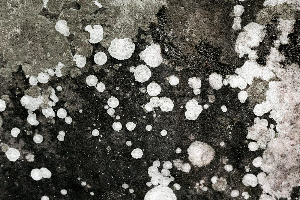 protecting your home in winter
