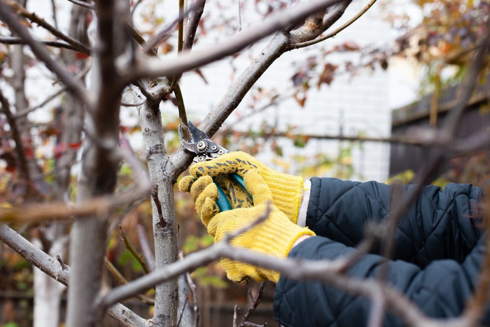 protecting your home in winter