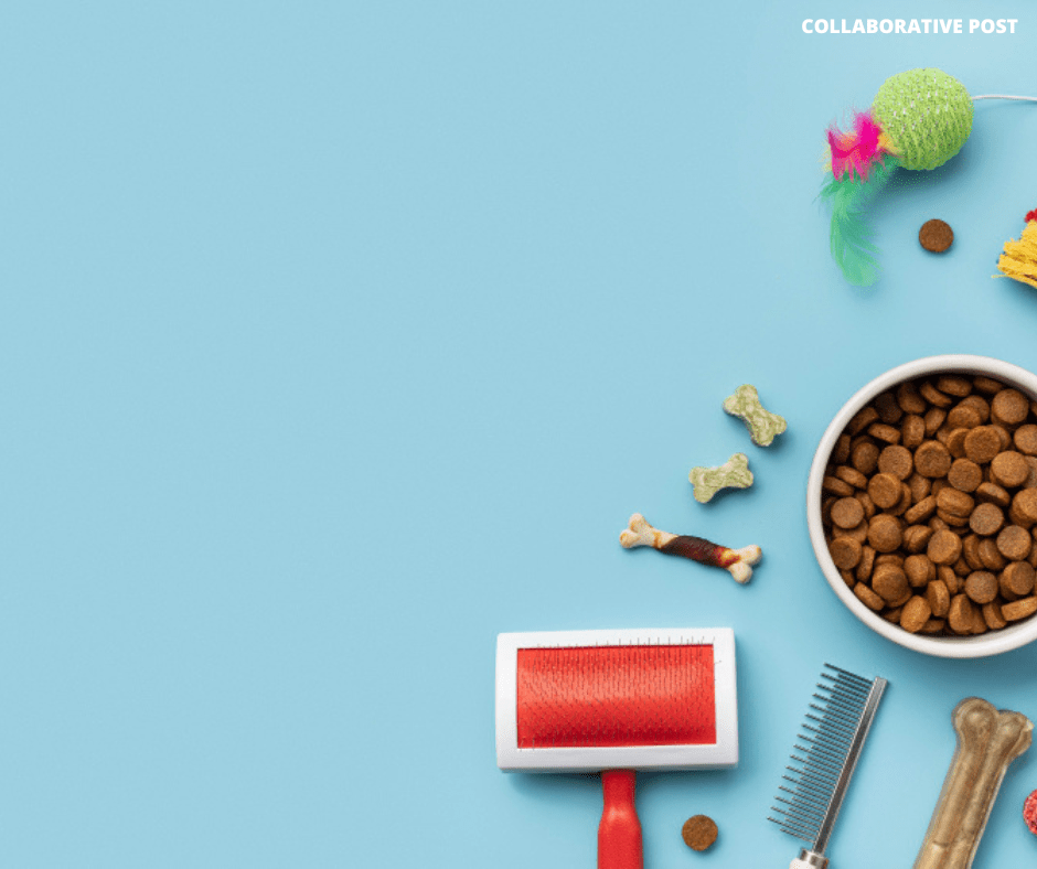 how to save money on pet supplies