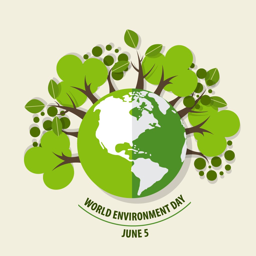 World Environment Day activities
