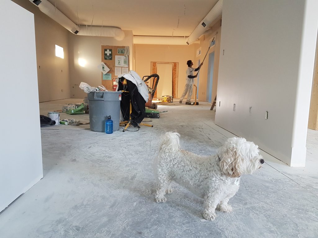 successful renovation