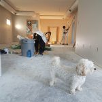 successful renovation