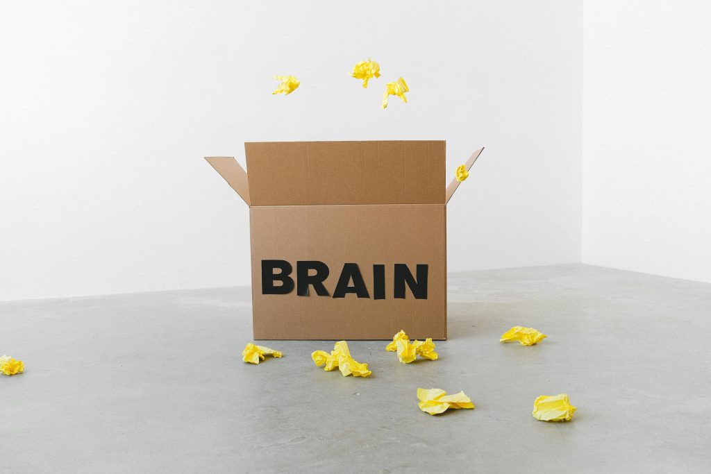 Teenage Brain