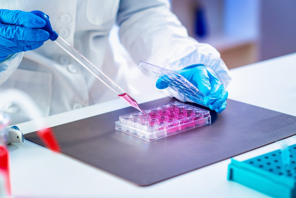 stem cells and cord blood