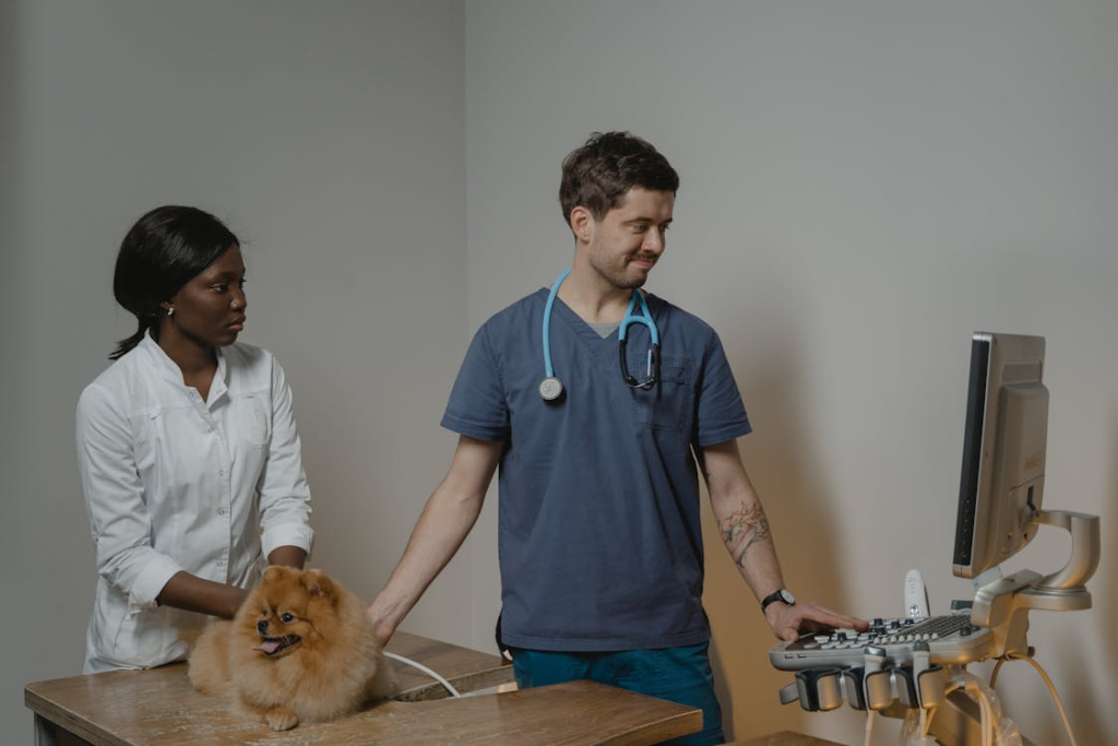 emergency vet visit