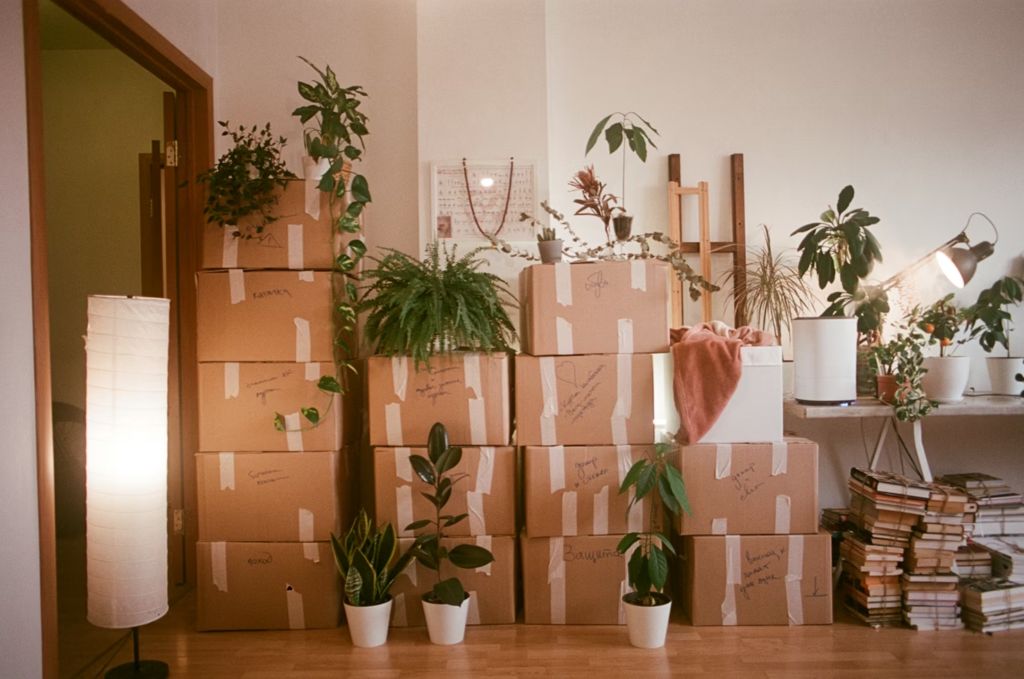 move house