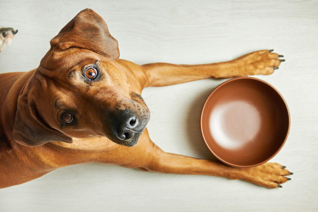air dried dog food