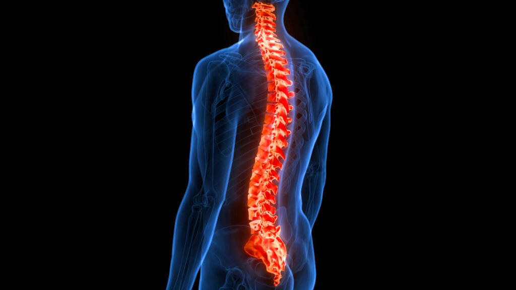 spine care