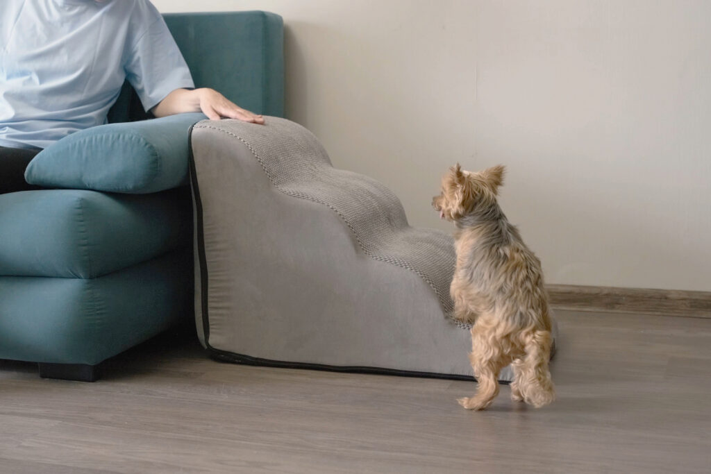 dog arthritis treatment