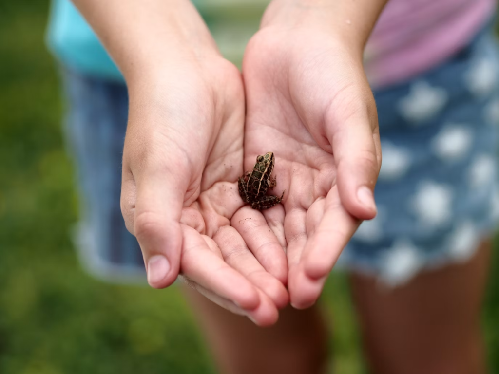 best mobile animal encounters