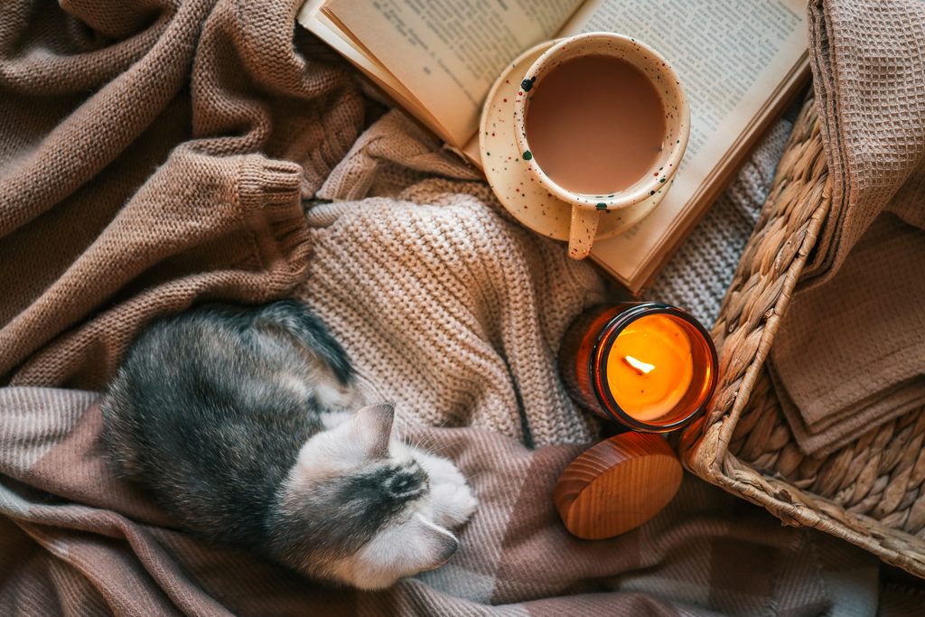cosy Autumn decor